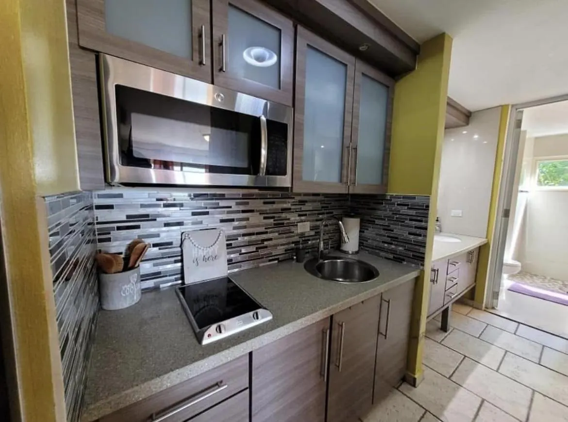 Apartment Costa Bonita Villas - Bldg 15 - Ocean View Studio - Resort Pool - Culebra, Pr Puerto Rico